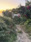 Stone walking path with blooming pink bougainvillea leading toward the coast in Lukovë, Albania.