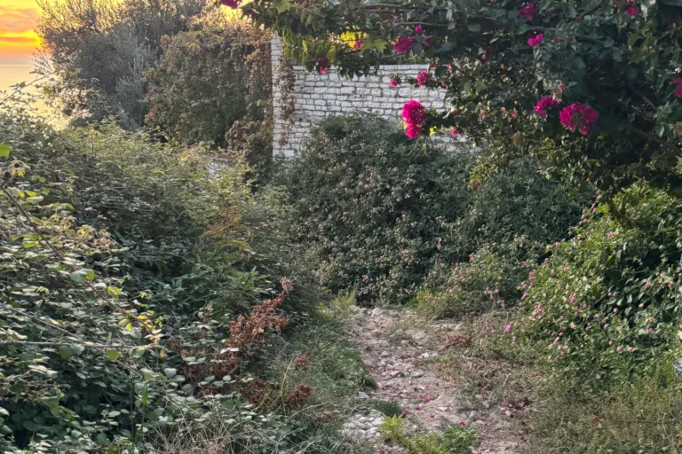Stone walking path with blooming pink bougainvillea leading toward the coast in Lukovë, Albania.