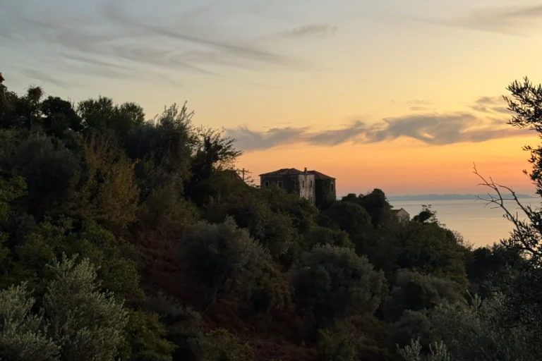 Lush green olive groves and a hillside stone building at sunset near Shën e Premte on the Albanian Riviera.