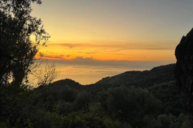 Panoramic view of a golden sunset over the Ionian Sea viewed from the olive groves of Lukovë.