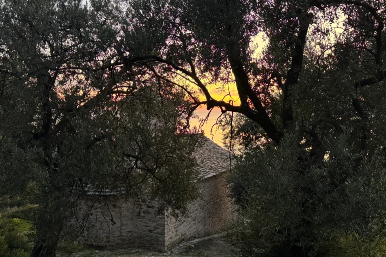 The historic stone church of Shën e Premte viewed through olive branches at sunset in Lukovë, Albania.